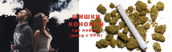 метадон Гусев