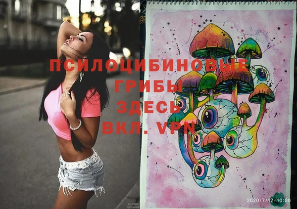 метадон Гусев