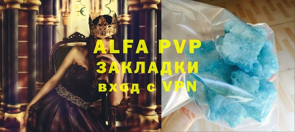 амф Гусиноозёрск