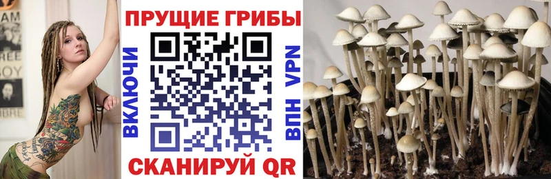 Галлюциногенные грибы Magic Shrooms  Жердевка 